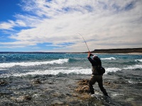 Foto de pesca con mosca