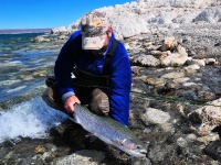 Foto de pesca con mosca