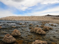 Foto de pesca con mosca