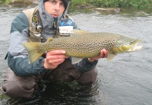 Fly-fishing Pic of German brown shared by Dominic De Bruyn | Fly dreamers 