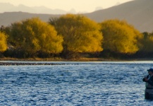 Martin Ferreyra Gonzalez 's Nice Fly-fishing Situation Pic – Fly dreamers 