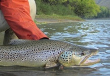  Imagen de Situación de Pesca con Mosca por Va Ca – Fly dreamers