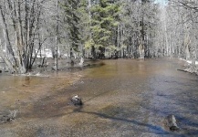 Flooded Stoney Brook