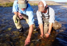 Rankin Morgan 's Fly-fishing Catch of a Brown trout – Fly dreamers 