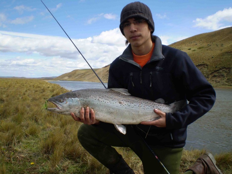 Pesca con mosca. Truchas en Río Grande.