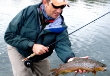 Fly-fishing Photo of Brown trout shared by Ezequiel Lemos – Fly dreamers 