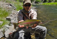 Fly-fishing Pic of Rainbow trout shared by Dylan Knight – Fly dreamers 