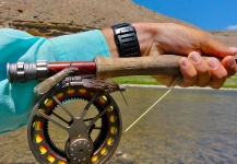 Interesting Fly-fishing Entomology Pic shared by Dylan Knight 