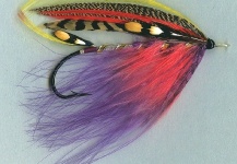  Mira esta mosca para Steelhead de Mike Boyer ) – Fly dreamers 