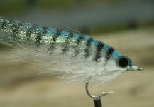Dennis Perko Jr 's Fly-tying for Spanish Mackerel - Photo – Fly dreamers 