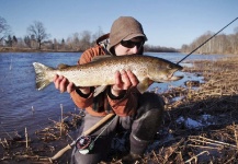  Fotografía de Pesca con Mosca de Trucha marrón por Paulius Mazuras – Fly dreamers