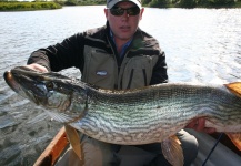  Captura de Pesca con Mosca de Lucio por Mark Houlihan – Fly dreamers