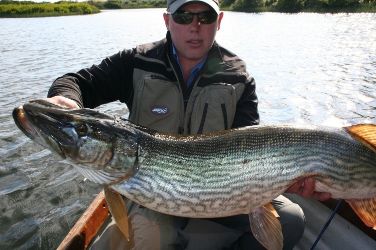 Giant pike fly fishing in Ireland