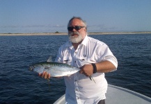 Dale Matthews 's Fly-fishing Photo of a False Albacore - Little Tunny – Fly dreamers 