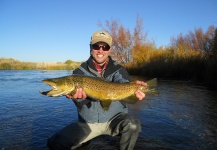 Fly-fishing Photo of Brown trout shared by Justin Reynolds – Fly dreamers 