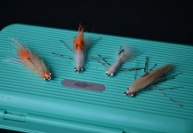 Mira esta mosca para Bonefish de Nicolás De La Vega ) – Fly dreamers 