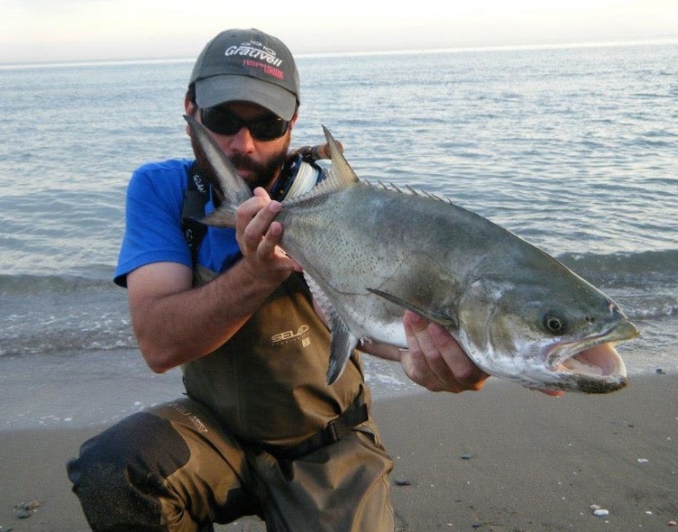 Pesca con mosca de palometones en la Costa del Sol, España.