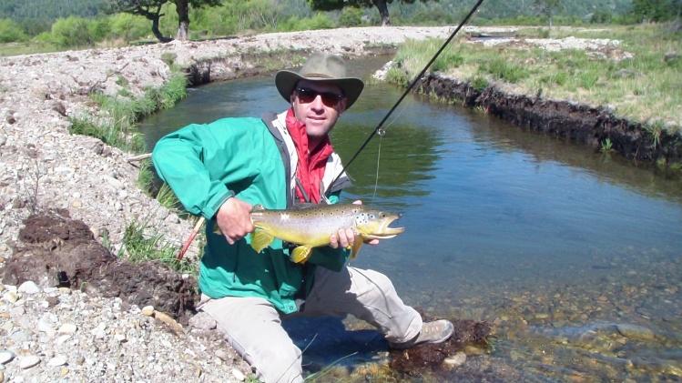 Brown trout fly fishing in spring creeks