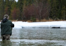 Impressive Fly-fishing Situation of Steelhead - Image shared by Bill Fowler – Fly dreamers