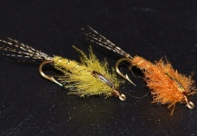 Ariel Garcia Monteavaro 's Fly-tying Picture – Fly dreamers 