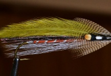 Cool Fly-tying Pic by Ariel Garcia Monteavaro 