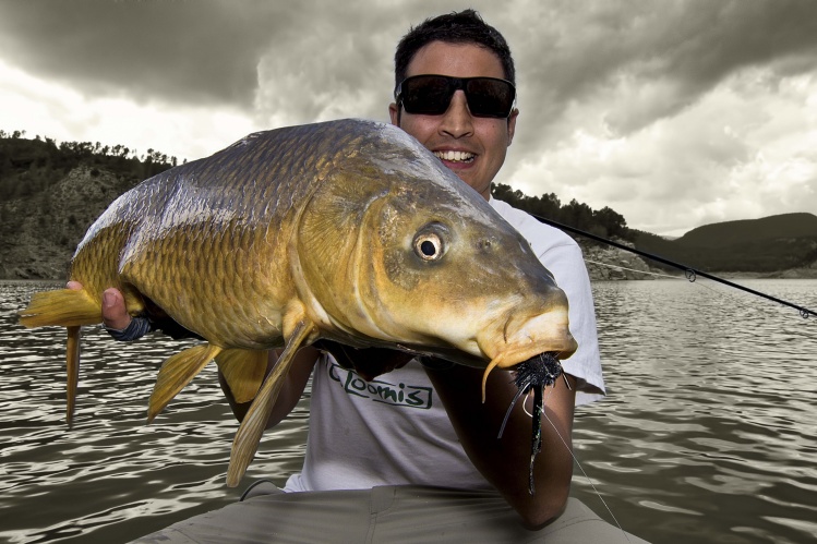 Carpa común pescada con streamer ciervo y marabú negro