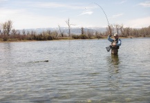  Genial Situación de Pesca con Mosca de Trucha marrón – Fotografía por Brady Fackrell en Fly dreamers