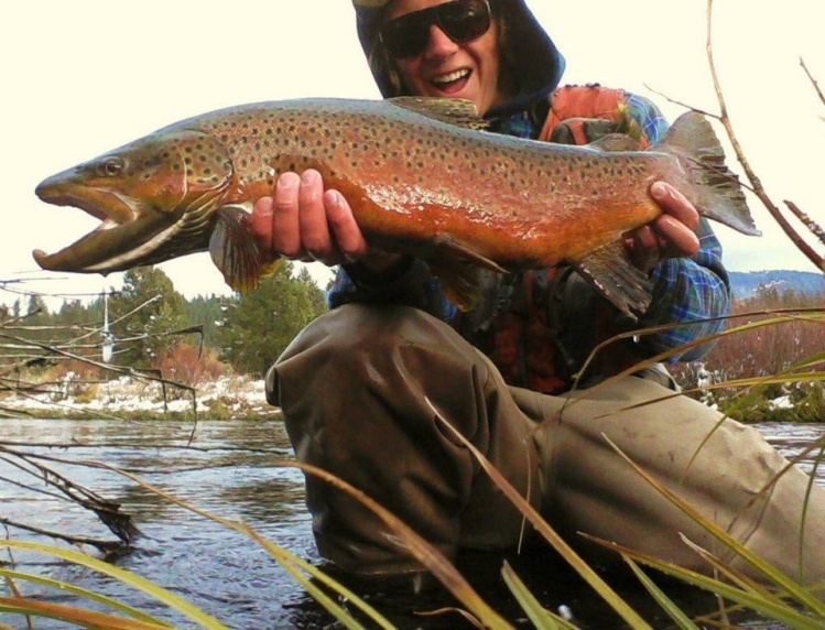 28" Truckee River Brown