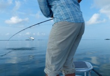 Fly-fishing Situation of Tarpon - Photo shared by Whitney McDowell – Fly dreamers 