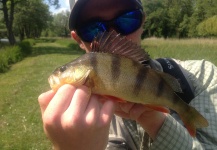 Fergus Kelley 's Fly-fishing Image of a Perch – Fly dreamers 