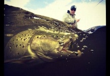 Fly-fishing Image of Spotted Seatrout shared by Claudio Martin – Fly dreamers