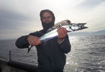 Cristóbal Tapia Chamy 's Fly-fishing Catch of a Spanish Mackerel – Fly dreamers 