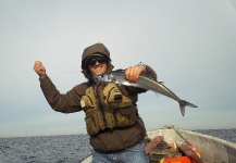 Cristóbal Tapia Chamy 's Fly-fishing Pic of a Spanish Mackerel – Fly dreamers 