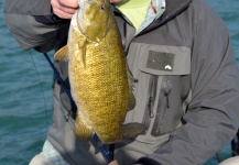 Bill Katzenberger 's Fly-fishing Photo of a Smallmouth Bass – Fly dreamers 