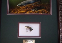 Salmon Fly 'Butcher' framed