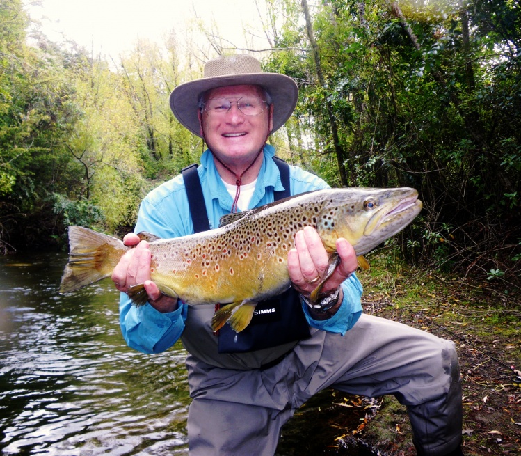 NZ Brown Trout on 4 wt. rod &amp; # 20 nymph on a small stream. Caught, photographed, released by the Wolverine Angler.
