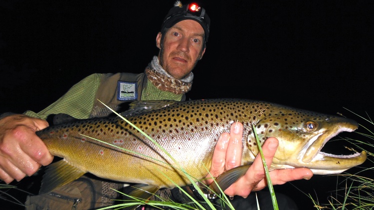 Hexagenia limbata can bring out the biggest fish of the river.