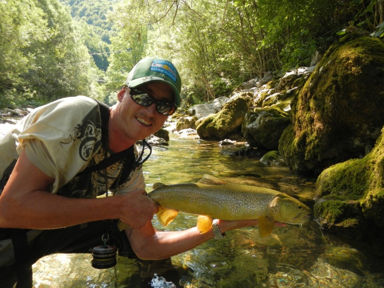 Marble trout in small stream!