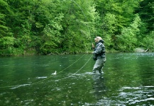 Good Fly-fishing Situation of Grayling shared by Snjezana Bratic 