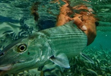 FWC Unanimously Votes to Make Bonefish and Tarpon Catch and Release