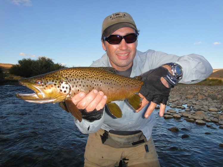 Chimehuin brown trout on a dry fly!
Marrón del Chimehuin con mosca seca!