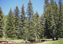 Dolores West Fork