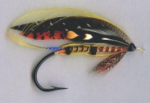 Mike Boyer 's Fly for Atlantic salmon -  Photo – Fly dreamers 