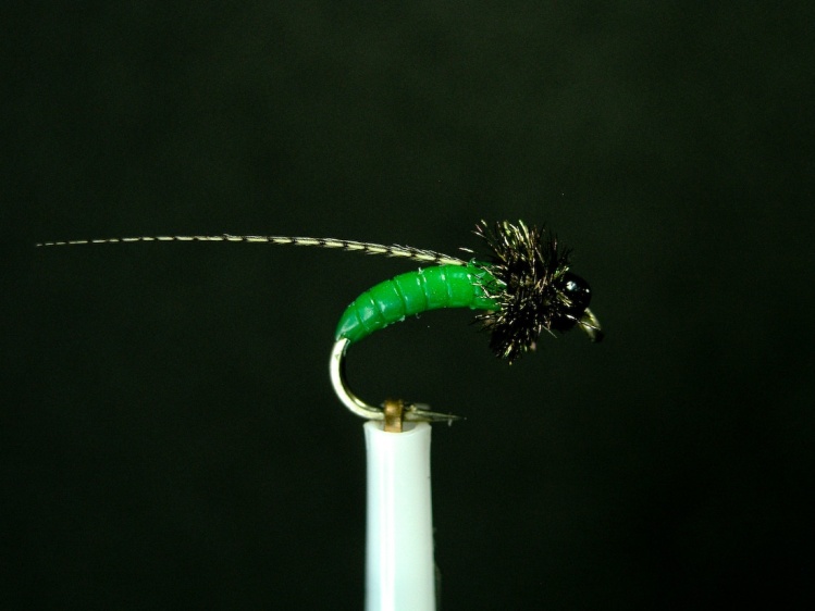 HMG Caddis ... See my many hot melt glue patterns at  <a href="http://hmgflysystems.com">http://hmgflysystems.com</a>. Hot melt glue is a wonderful medium! 
\