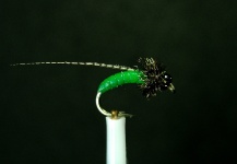 Good Fly-tying Pic shared by Joe Nicklo 