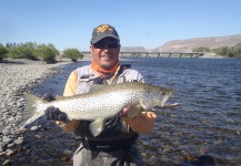 limay medio