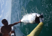 tarpon en bahia honda key