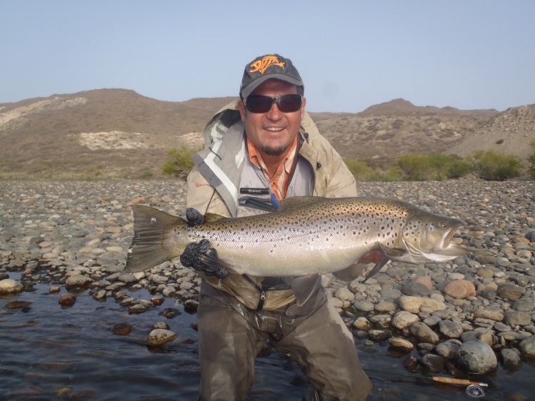 limay medio-puente pichipicun