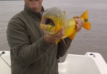 Fly-fishing Image of Dorado - Mahi Mahi shared by Christian Hiba – Fly dreamers