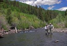  Trucha marrón – Interesante Situación de Pesca con Mosca – Por Pancho Winter